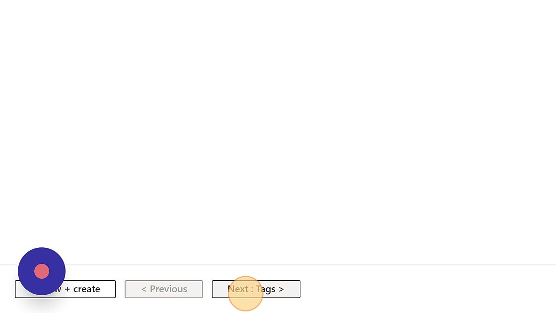 Screenshot of: Click "Next : Tags >"